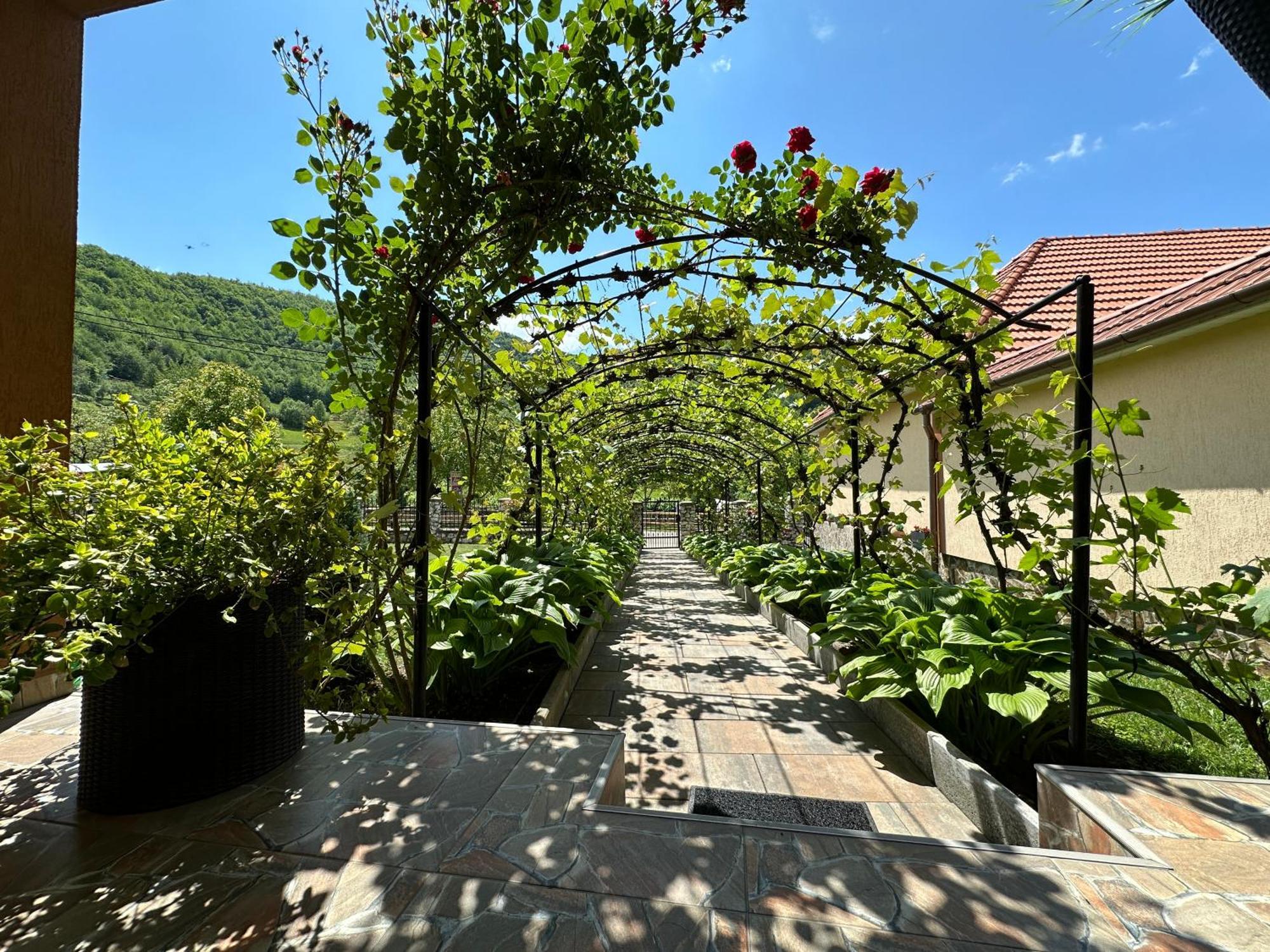 Hotel Casa Antonia Chiscau Exterior foto